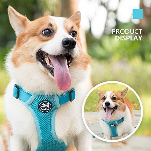 PoyPet Yansıtıcı Yumuşak Nefes Örgü Köpek Koşum Ayarlanabilir Boyun ve Göğüs ile Choke-Ücretsiz Çift Yastıklı Yelek