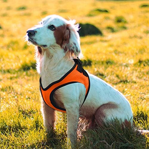 KORIMEFA Pet Malzemeleri Yumuşak Köpek Koşum Yenilikçi Örgü Hiçbir Çekme Hiçbir Choke Tasarım Nefes Yelek Tasma ile Kolay Kontrol