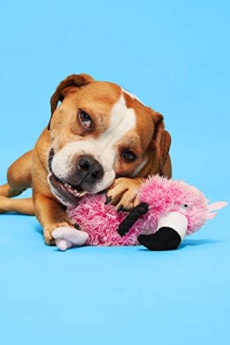 BarkBox Köpek Halat Oyuncakları-Çiğneyiciler, Yavru Diş Çıkarma ve Küçük, Orta ve Büyük Köpekler için Dayanıklı Römorkör Oyuncakları