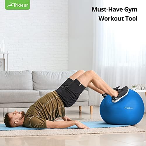 Trideer Egzersiz Topu, Doğa Temalı Yoga Topu, Kolayca Şişirilmiş Top Sandalye, Egzersiz için, İstikrar, Denge, Fizik Tedavi ve