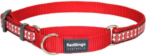 Kırmızı Dingo Yansıtıcı Martingale Köpek Tasması, Orta