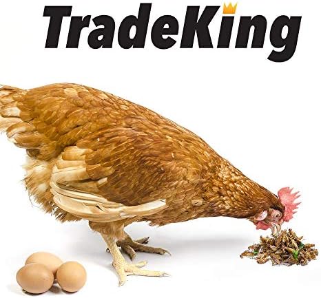 TradeKing Doğal Kurutulmuş Cırcır Böcekleri-Sakallı Ejderhalar, Yabani Kuşlar, Tavuk, Balık ve Sürüngenler için Yiyecek - (8