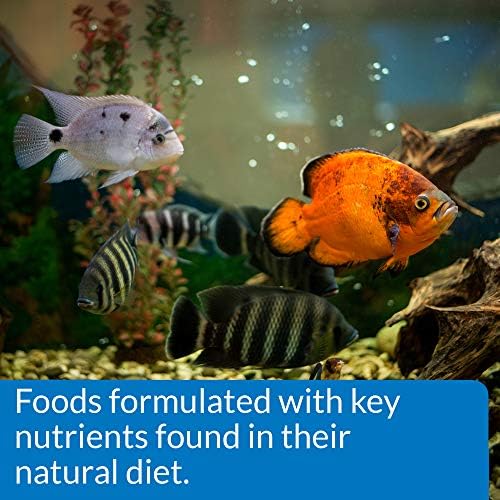 Balıkların daha az atık ve temiz, berrak su anlamına gelen besin maddelerini daha kolay kullanmalarına yardımcı olmak için formüle