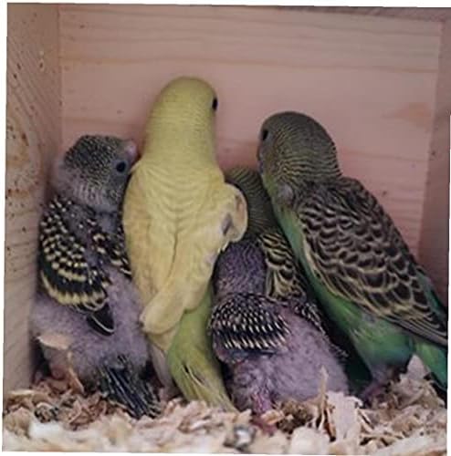 Parakeet Yuvalama Kutusu, Kuş Yuva Yetiştiriciliği Kutusu Kafes Ahşap Ev için Finch Kuşlar Papağanının Budgie Conure Papağan